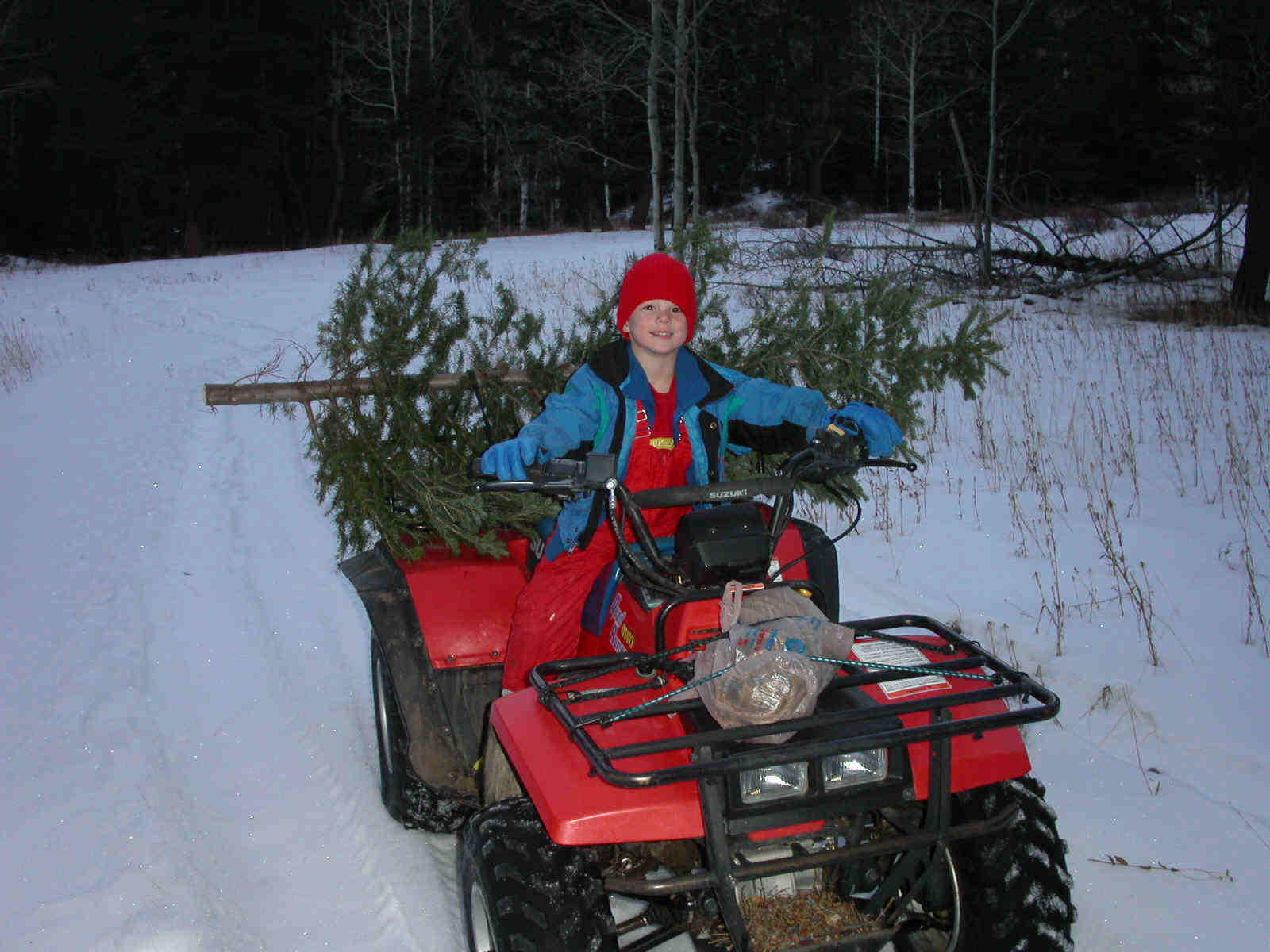 Jason  getting a Christmas Tree in 2002